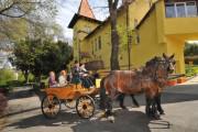 Fried Castle Hotel and Restaurant