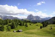 Hotel Adler Dolomiti Spa & Sport Resort