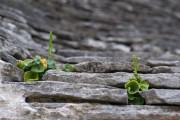 Le Alcove - Luxury Hotel nei Trulli