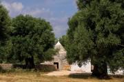 Masseria Le Carrube