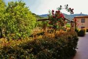 Tenuta EDONE' Country House